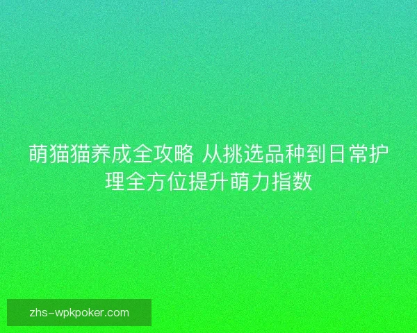 萌猫猫养成全攻略 从挑选品种到日常护理全方位提升萌力指数